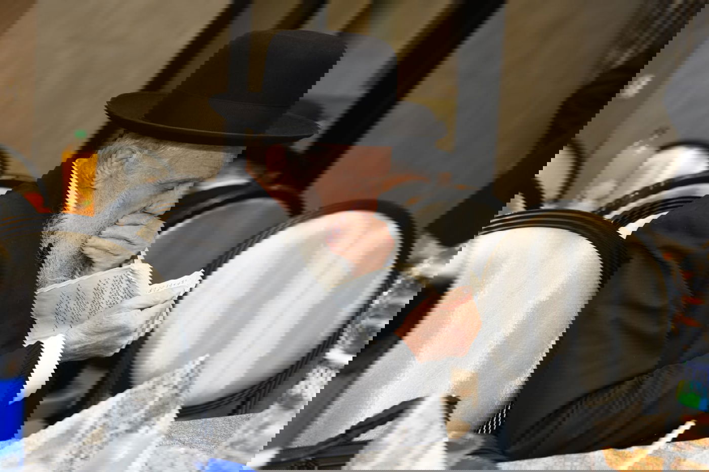 תיעוד: אירוסי נכדת ראש ישיבת סלבודקא, הגאון רבי דב לנדו