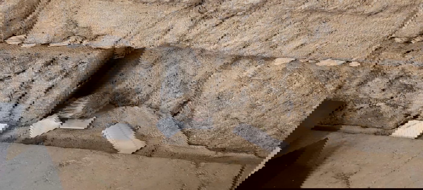 צפו: הגוזל הקטן יצא מתוך הקן שבתוך הכותל