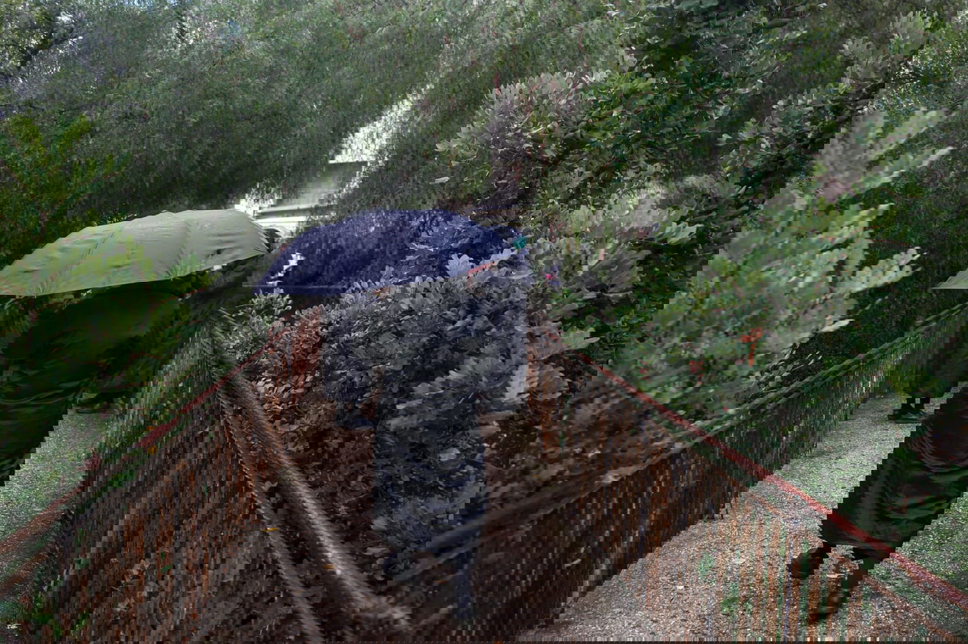 חורף בירושלים