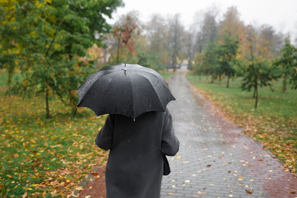 כך תבחרו את המטריה האידיאלית שתשמור עליכם יבשים