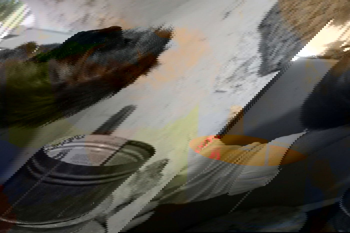 צפו: הירושה שקיבלה גב' ברגמן - מ'המגיד' הירושלמי