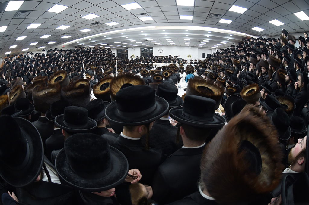 אלפים בשמחת החתונה לנכד האדמו"ר מסאטמר