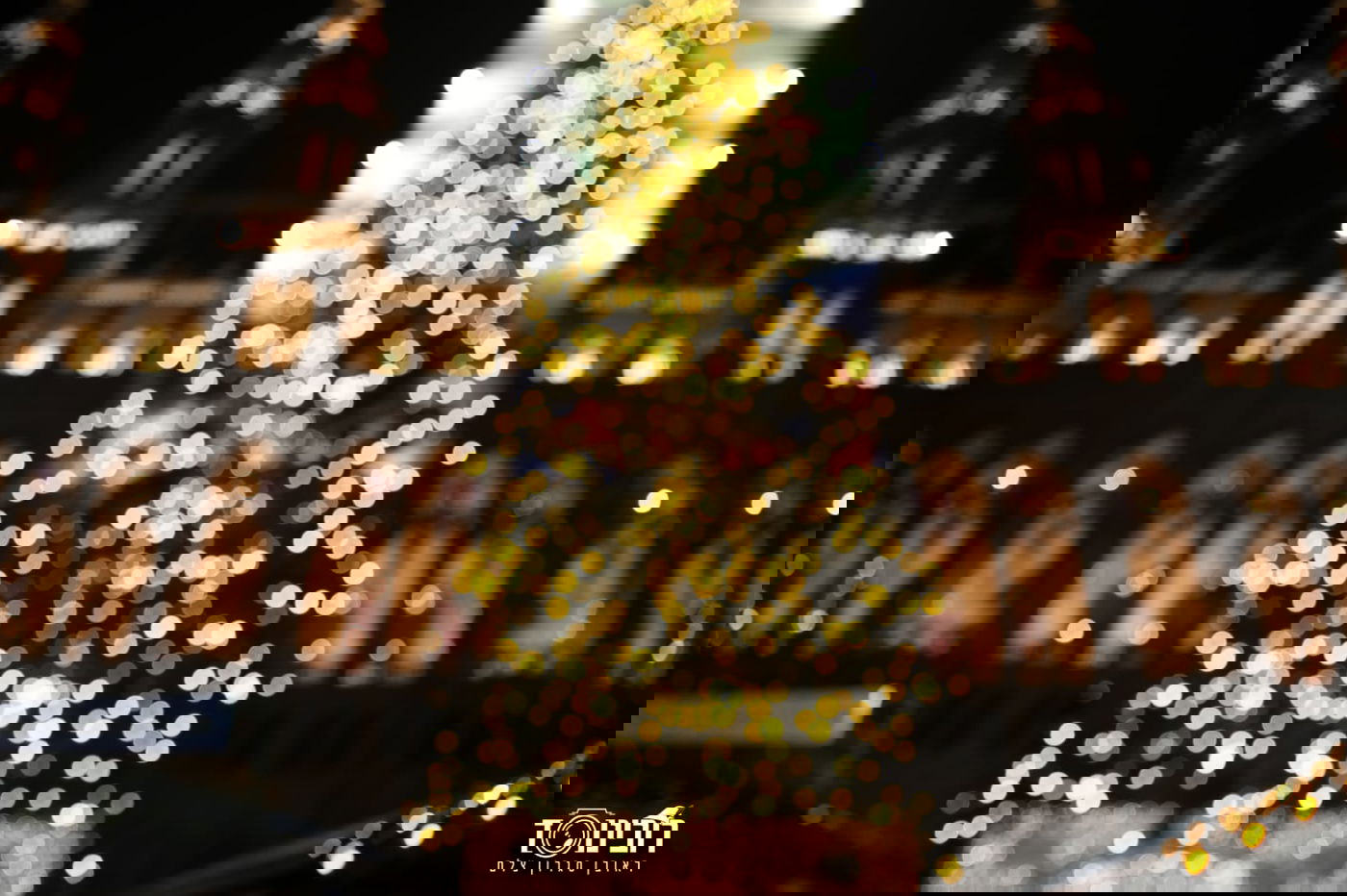 סיור לילה בוינה הקסומה דרך עדשת המצלמה