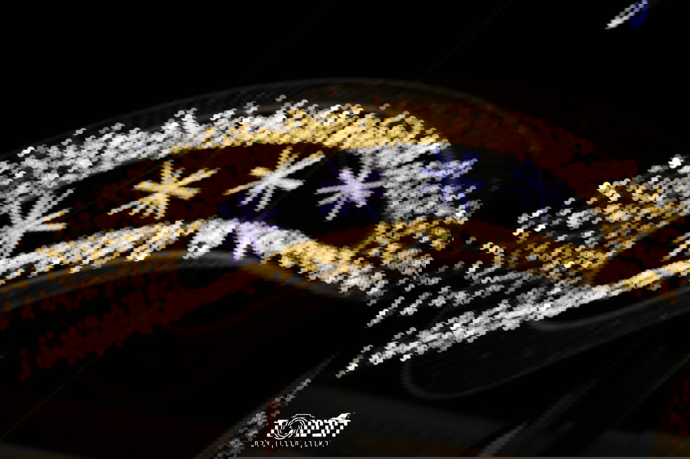 סיור לילה בוינה הקסומה דרך עדשת המצלמה