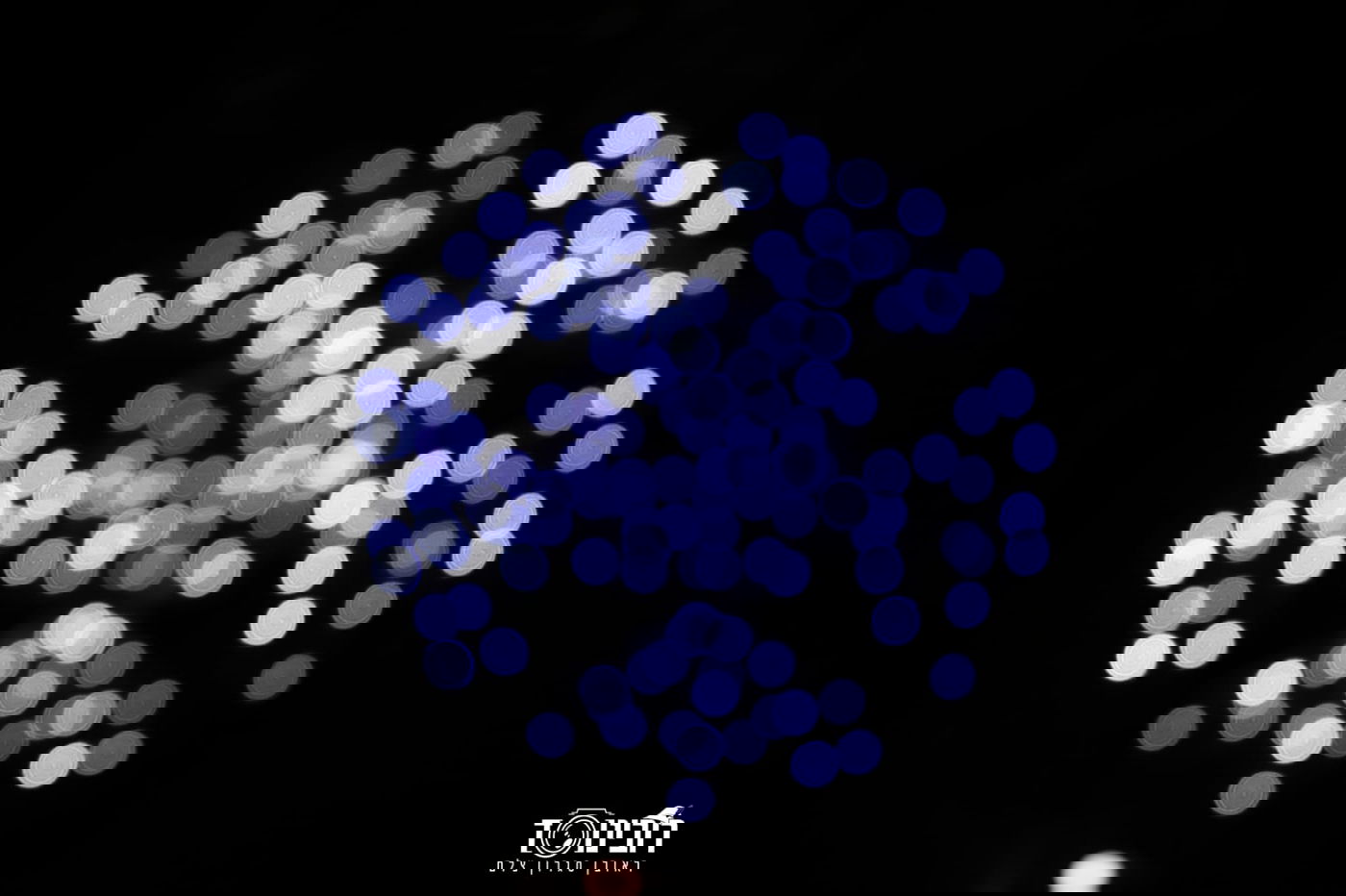 סיור לילה בוינה הקסומה דרך עדשת המצלמה