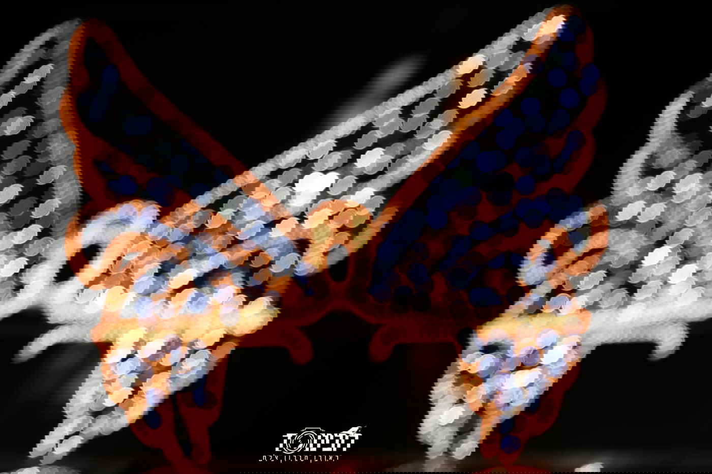 סיור לילה בוינה הקסומה דרך עדשת המצלמה