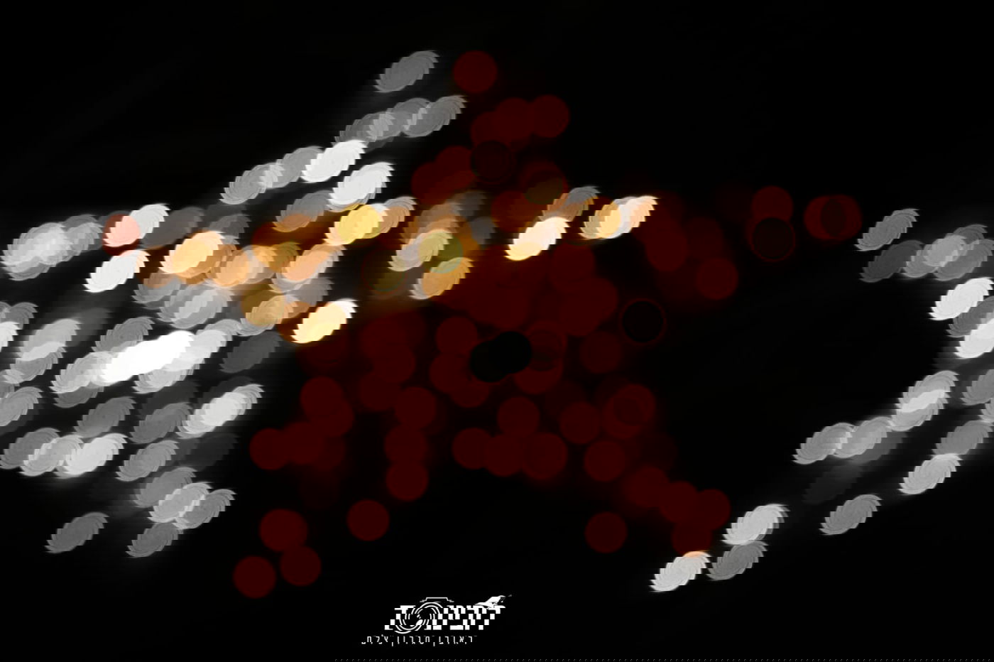 סיור לילה בוינה הקסומה דרך עדשת המצלמה