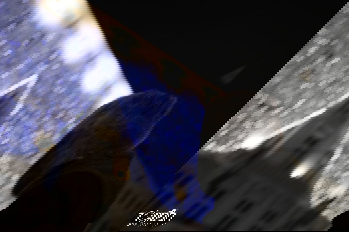 סיור לילה בוינה הקסומה דרך עדשת המצלמה