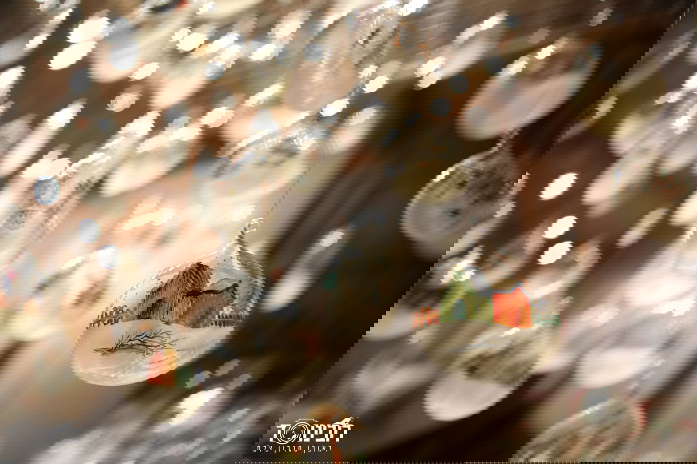 סיור לילה בוינה הקסומה דרך עדשת המצלמה