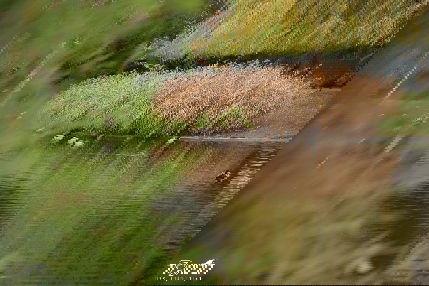 עיר הבירה האוסטרית דרך עדשת המצלמה