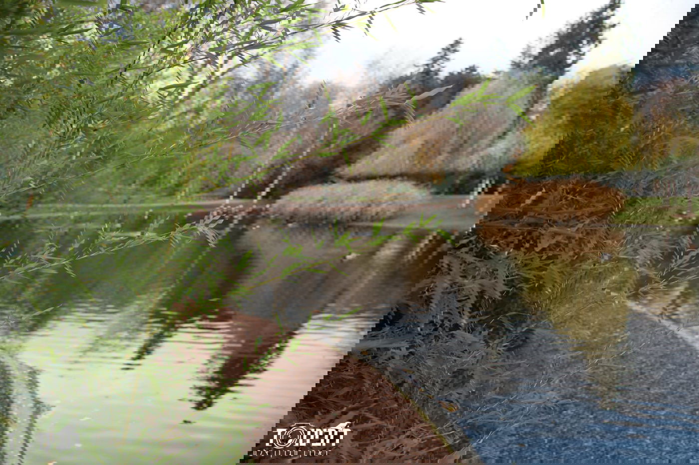 עיר הבירה האוסטרית דרך עדשת המצלמה