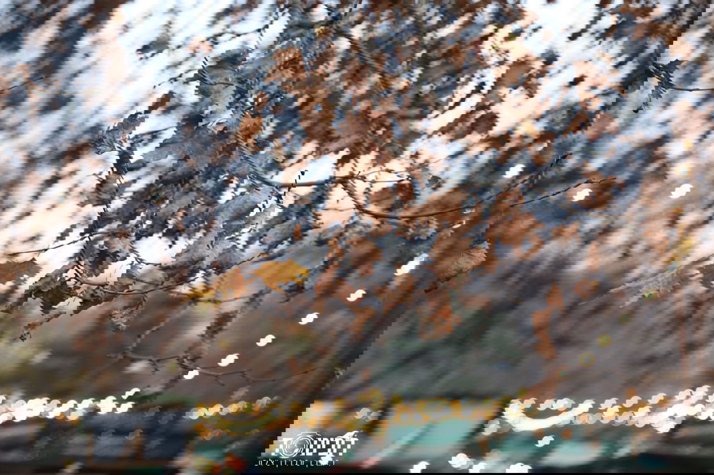 עיר הבירה האוסטרית דרך עדשת המצלמה