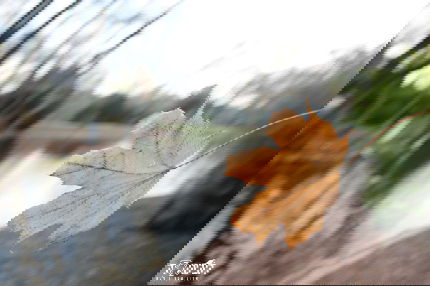 עיר הבירה האוסטרית דרך עדשת המצלמה