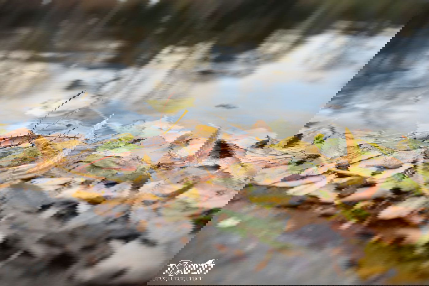 עיר הבירה האוסטרית דרך עדשת המצלמה