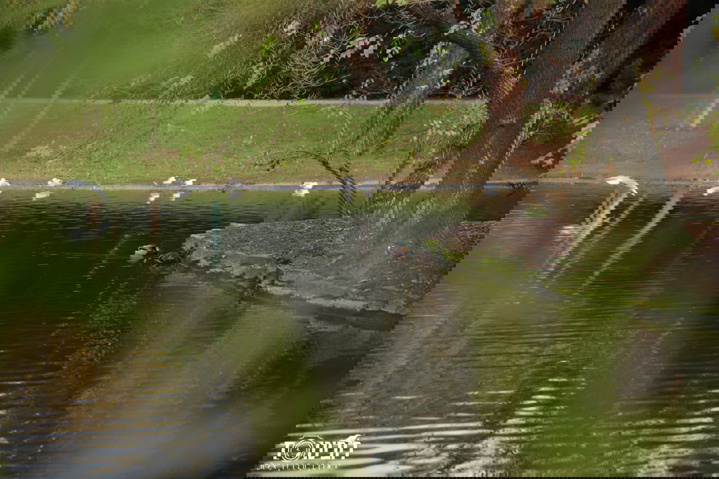 עיר הבירה האוסטרית דרך עדשת המצלמה