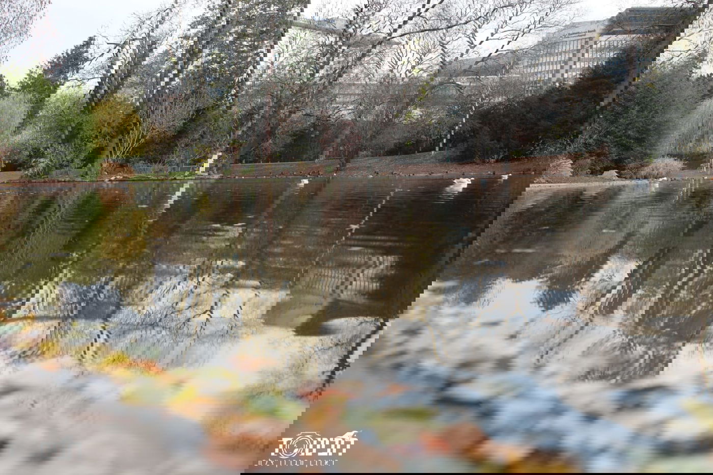 עיר הבירה האוסטרית דרך עדשת המצלמה