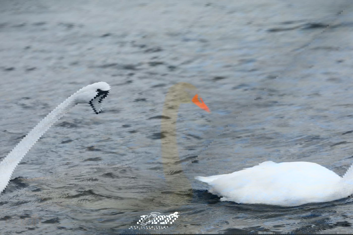 עיר הבירה האוסטרית דרך עדשת המצלמה