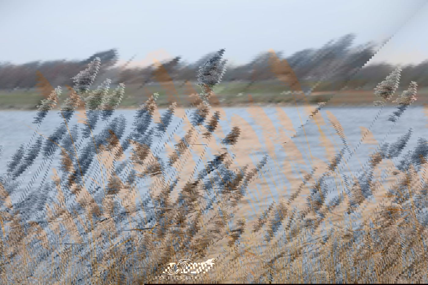 עיר הבירה האוסטרית דרך עדשת המצלמה