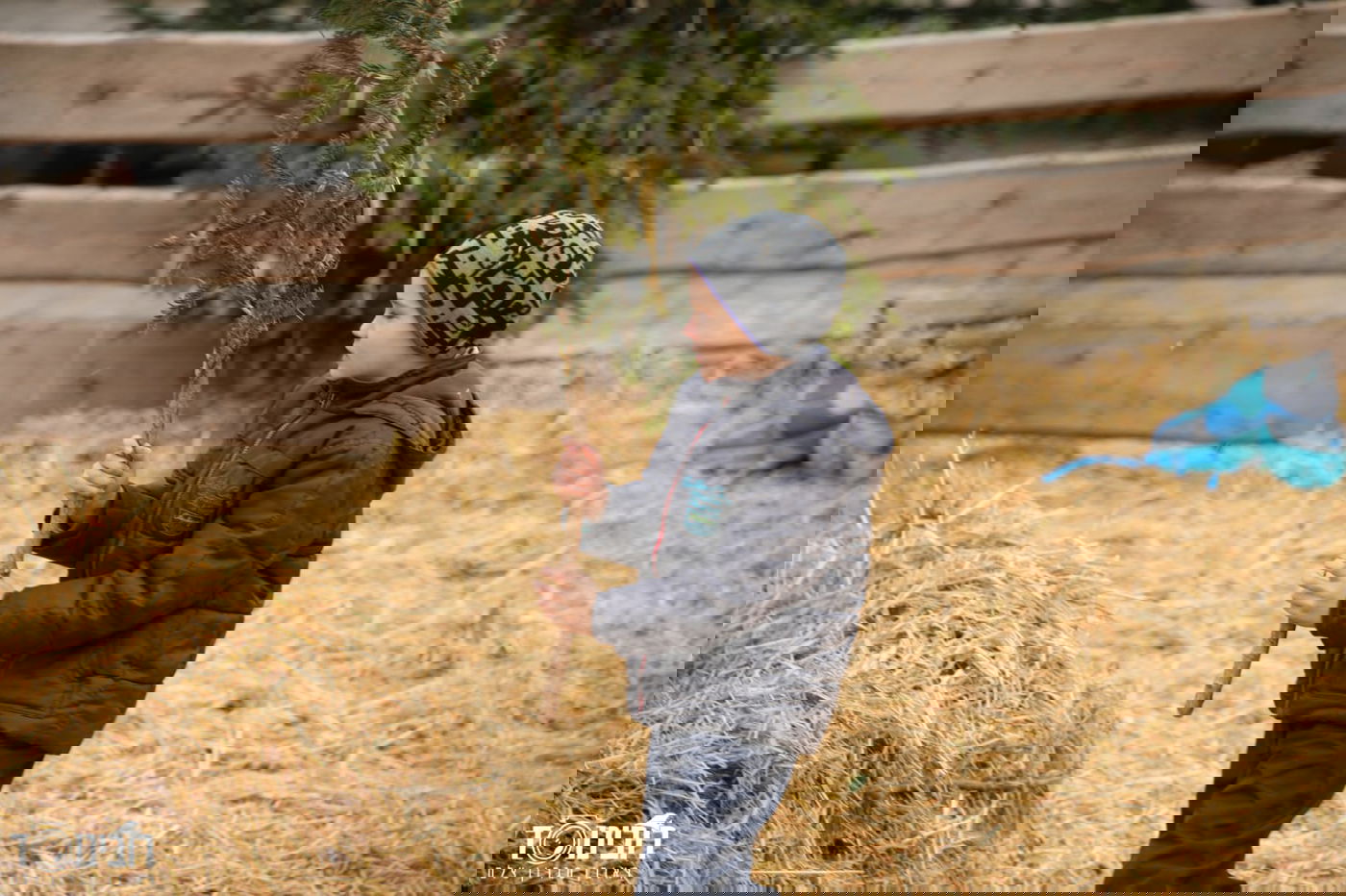 עיר הבירה האוסטרית דרך עדשת המצלמה