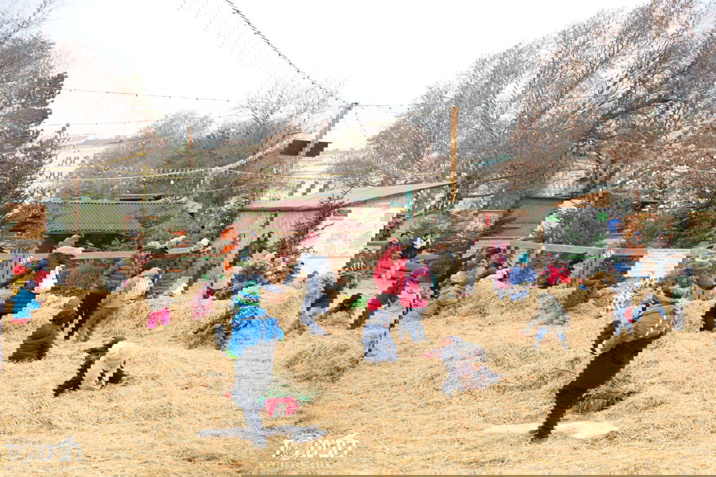 עיר הבירה האוסטרית דרך עדשת המצלמה