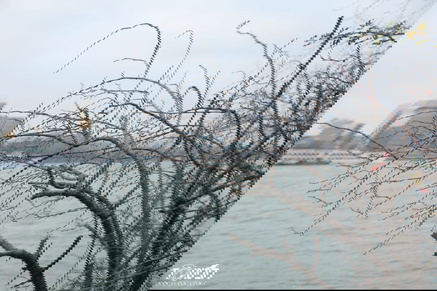 עיר הבירה האוסטרית דרך עדשת המצלמה