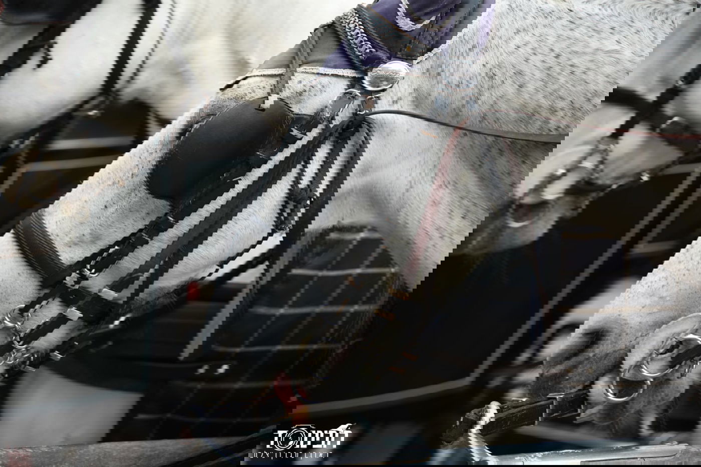 עיר הבירה האוסטרית דרך עדשת המצלמה