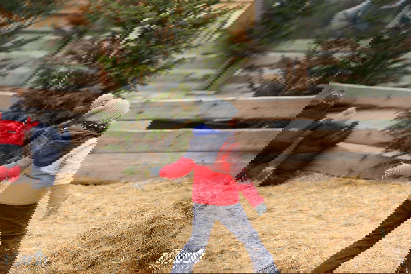 עיר הבירה האוסטרית דרך עדשת המצלמה