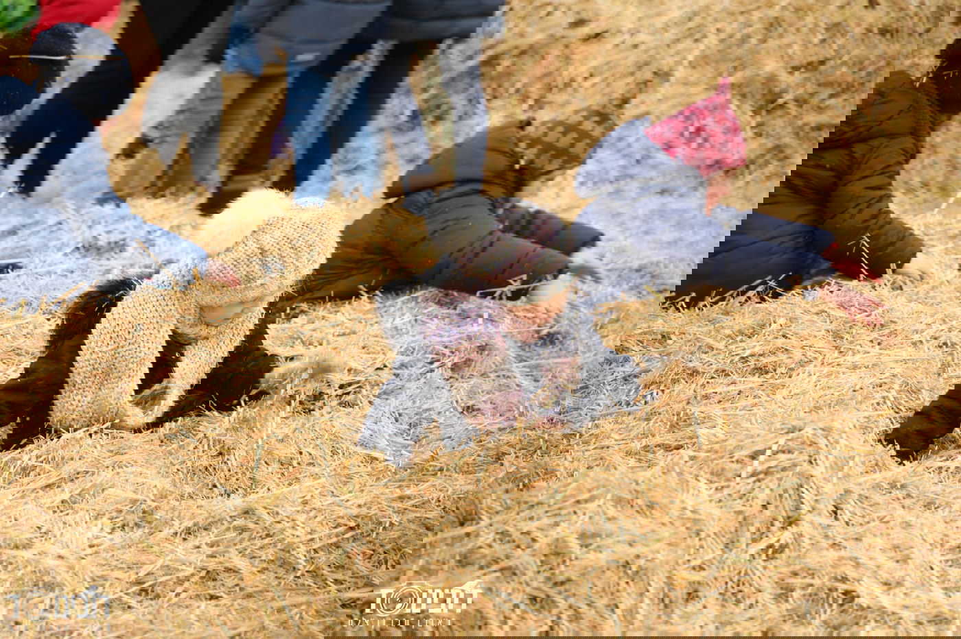 עיר הבירה האוסטרית דרך עדשת המצלמה