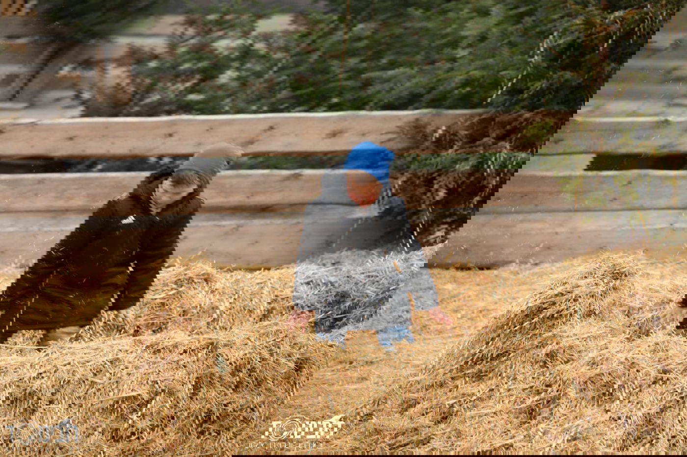 עיר הבירה האוסטרית דרך עדשת המצלמה