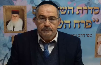 הוורט במרוקאית