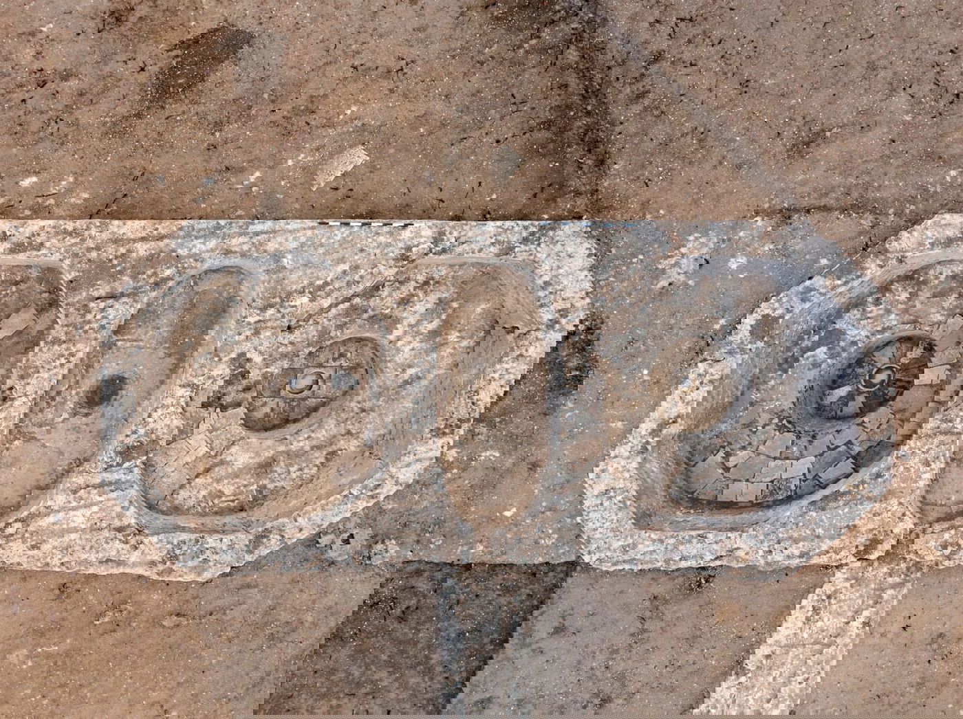 חפירה באשקלון חשפה מה האוכל שהכובשים הרומאים אהבו