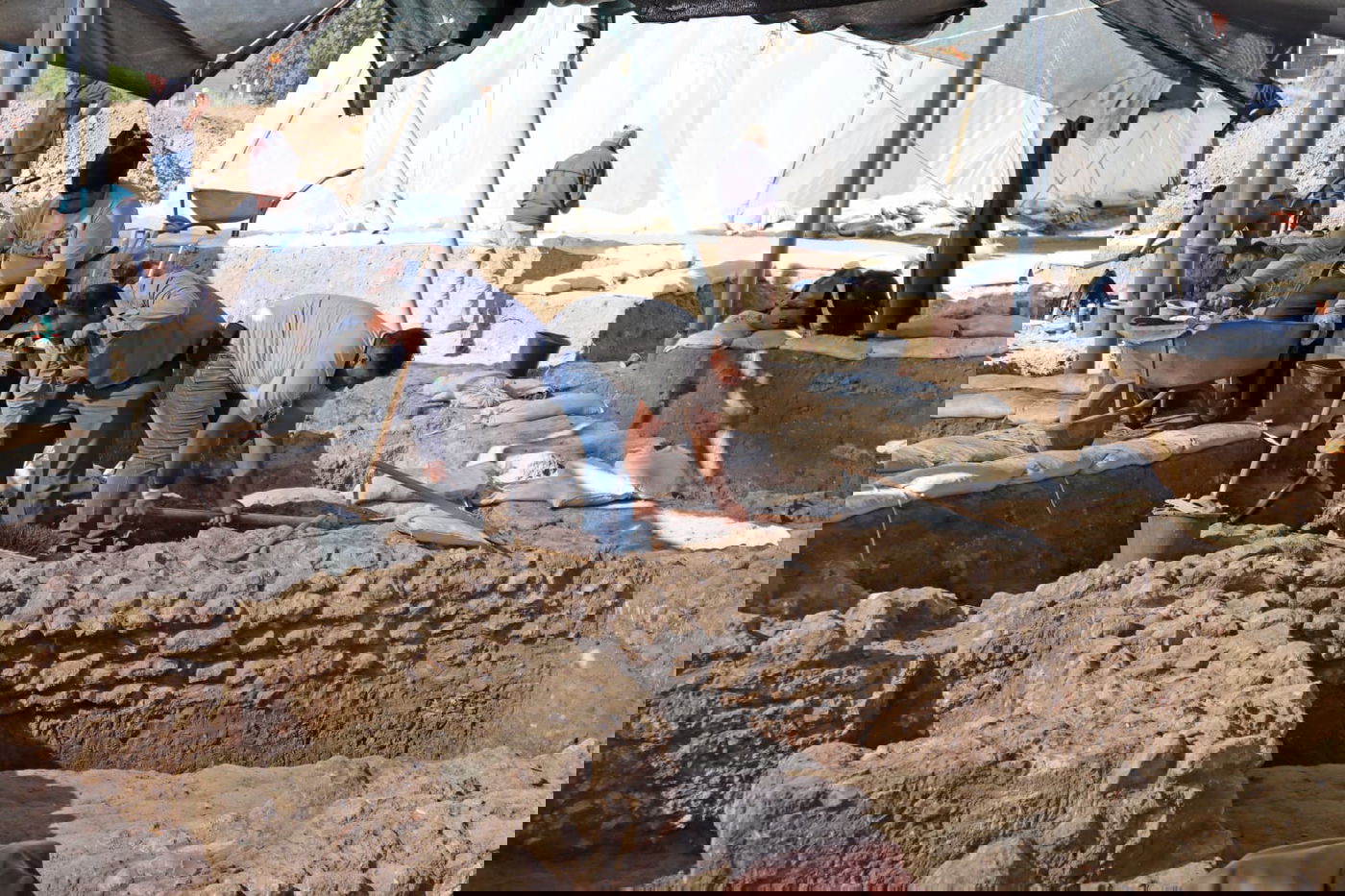 חפירה באשקלון חשפה מה האוכל שהכובשים הרומאים אהבו