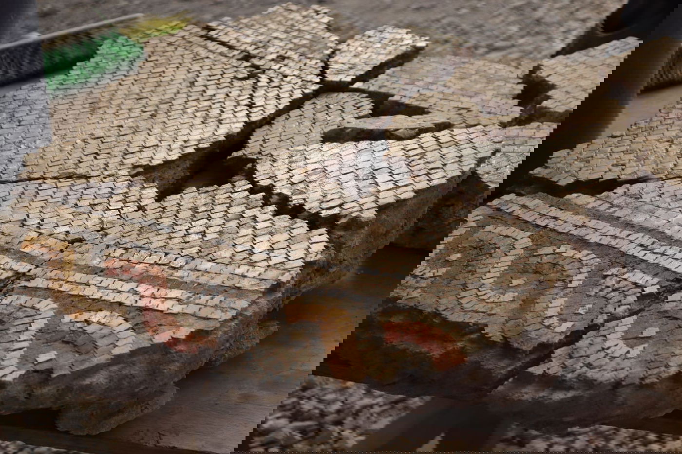 חפירה באשקלון חשפה מה האוכל שהכובשים הרומאים אהבו