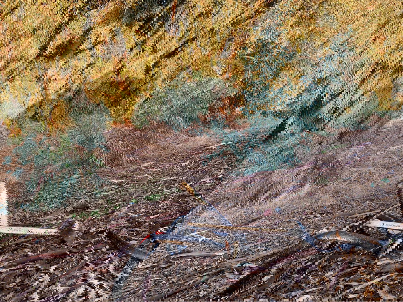 מחריד: שני רוכבי אופניים נפגעו מרכב ונהרגו