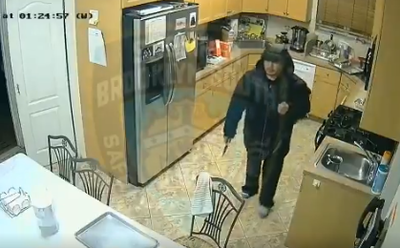 הגנב בבורו פארק