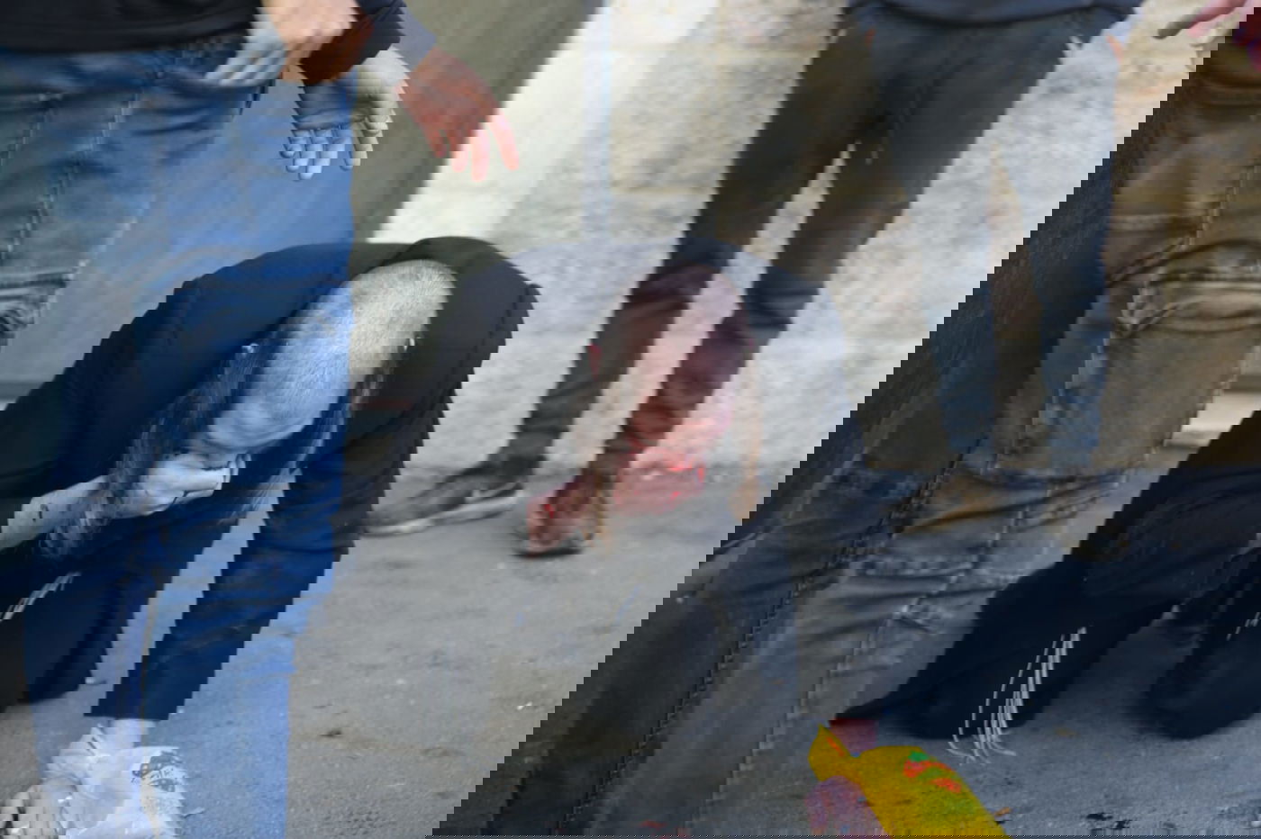 שוב: שלושה עצורים בהפגנה נגד הרכבת הקלה • תיעוד