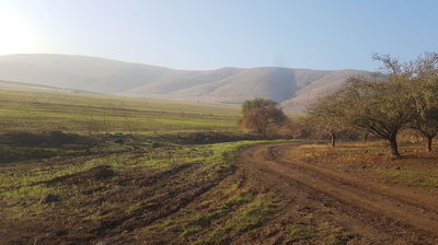גלריית חורף קסומה במיוחד מצפון הארץ