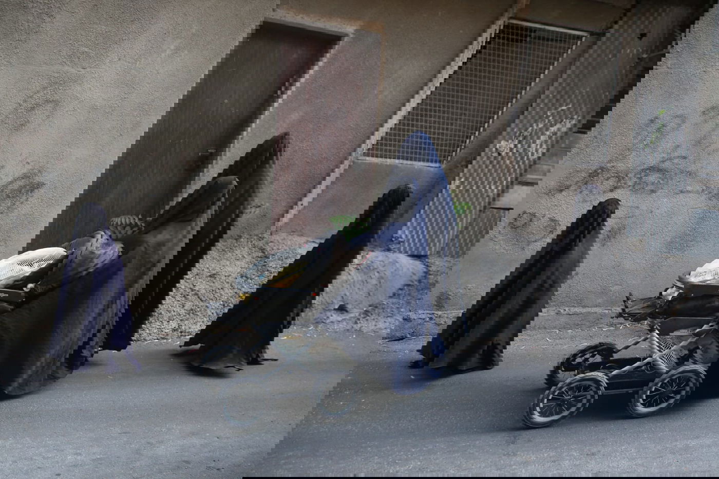 התמונה שזכתה