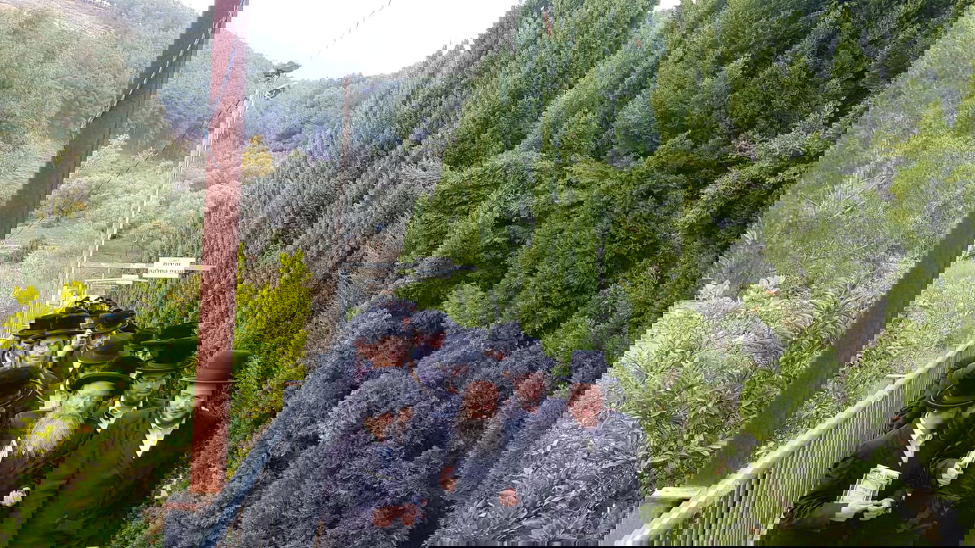 בחורי ישיבת 'חיי תורה' בתפילה בעמוקה