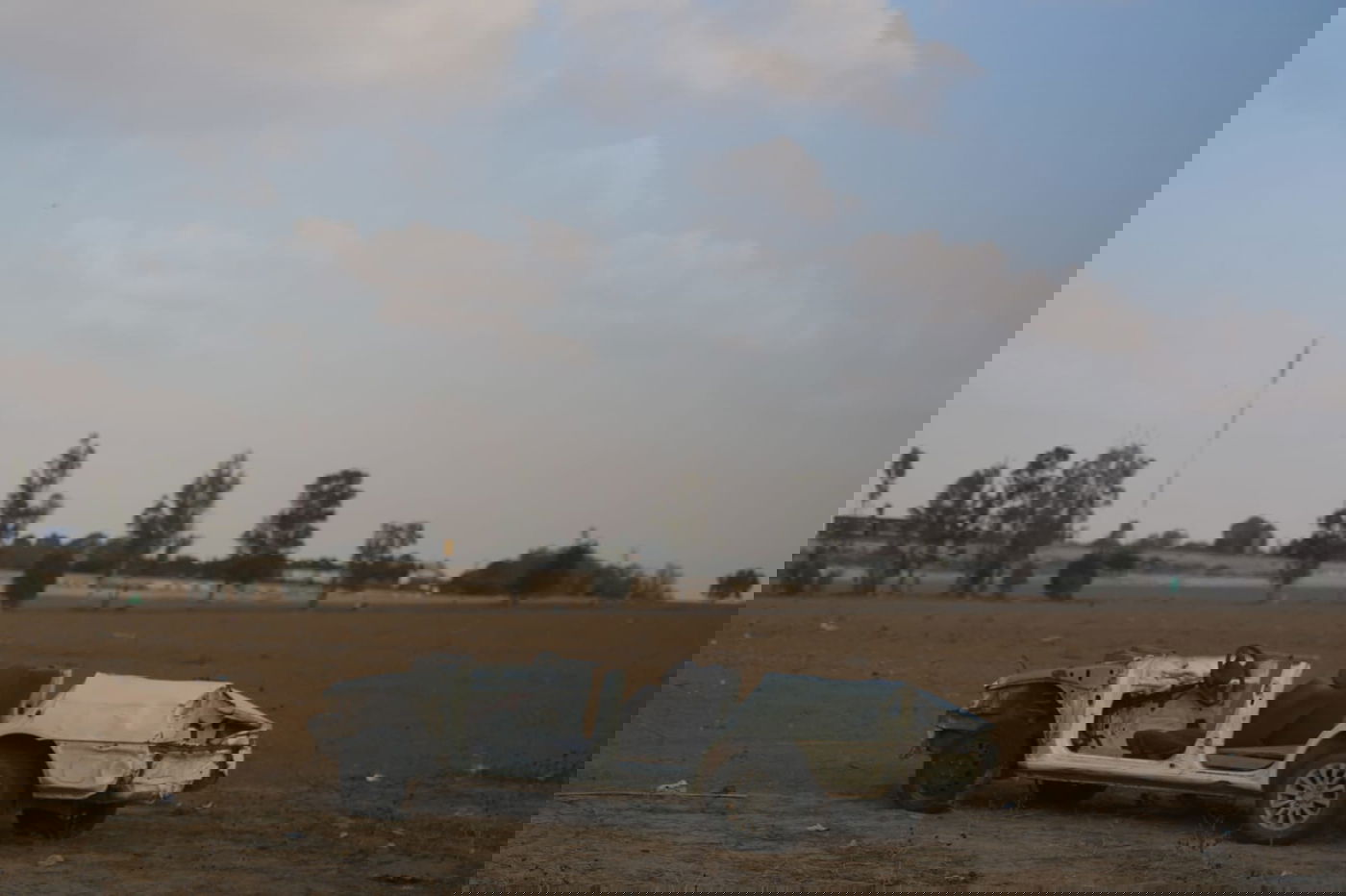 תפרח, השבוע