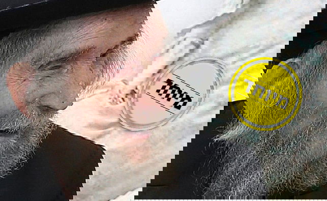 כך מרן הגראי"ל שטיינמן זצ"ל הציל בחור מהתבוללות