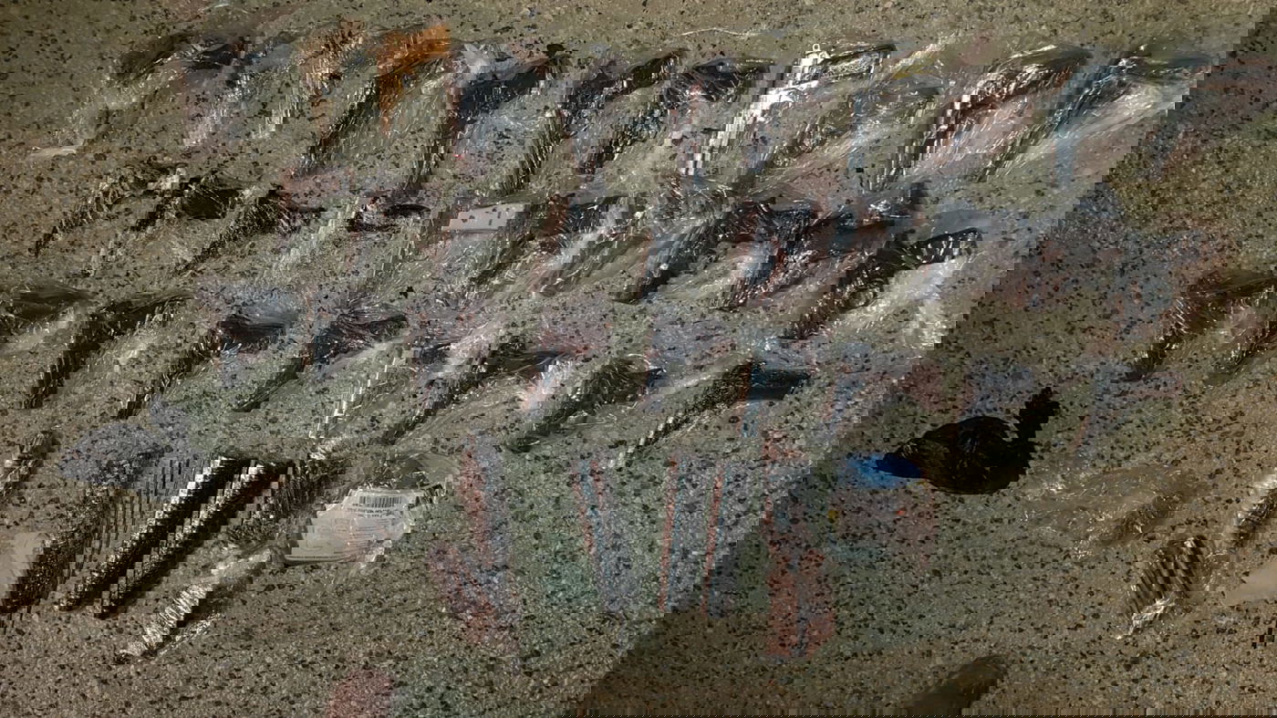 האקדחים שנתפסו