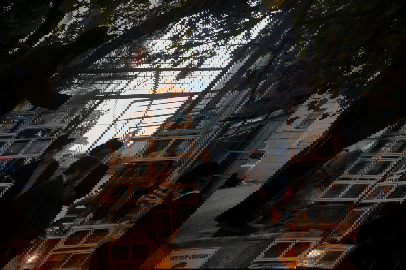 כך בחורי ישיבת בריסק מדליקים נרות חנוכה  גלריה