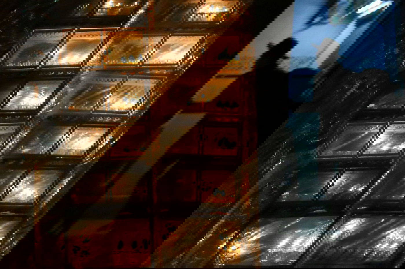 כך בחורי ישיבת בריסק מדליקים נרות חנוכה  גלריה