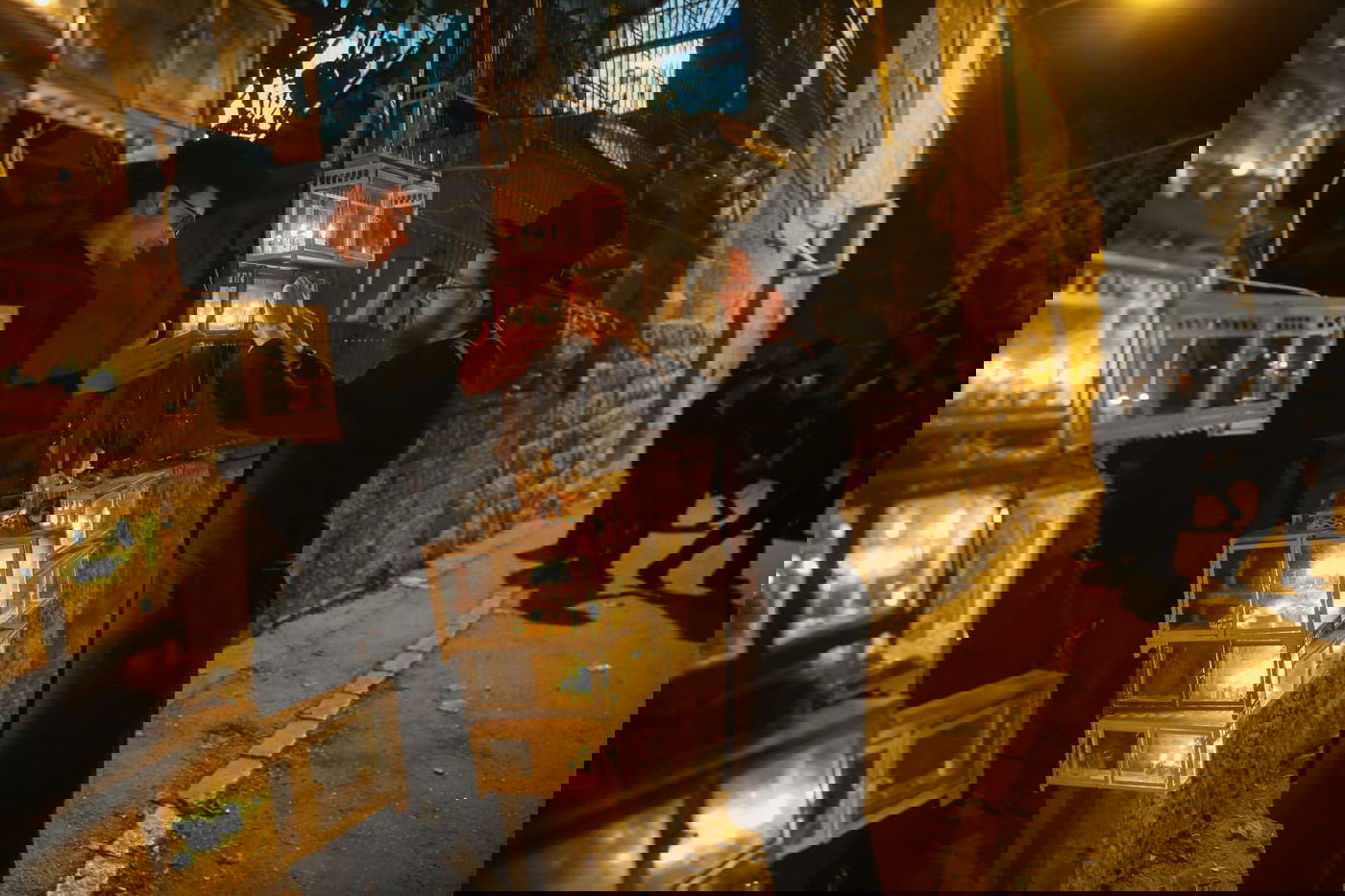 כך בחורי ישיבת בריסק מדליקים נרות חנוכה  גלריה