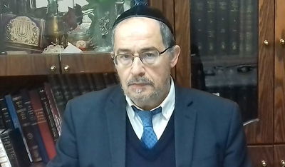 הוורט במרוקאית