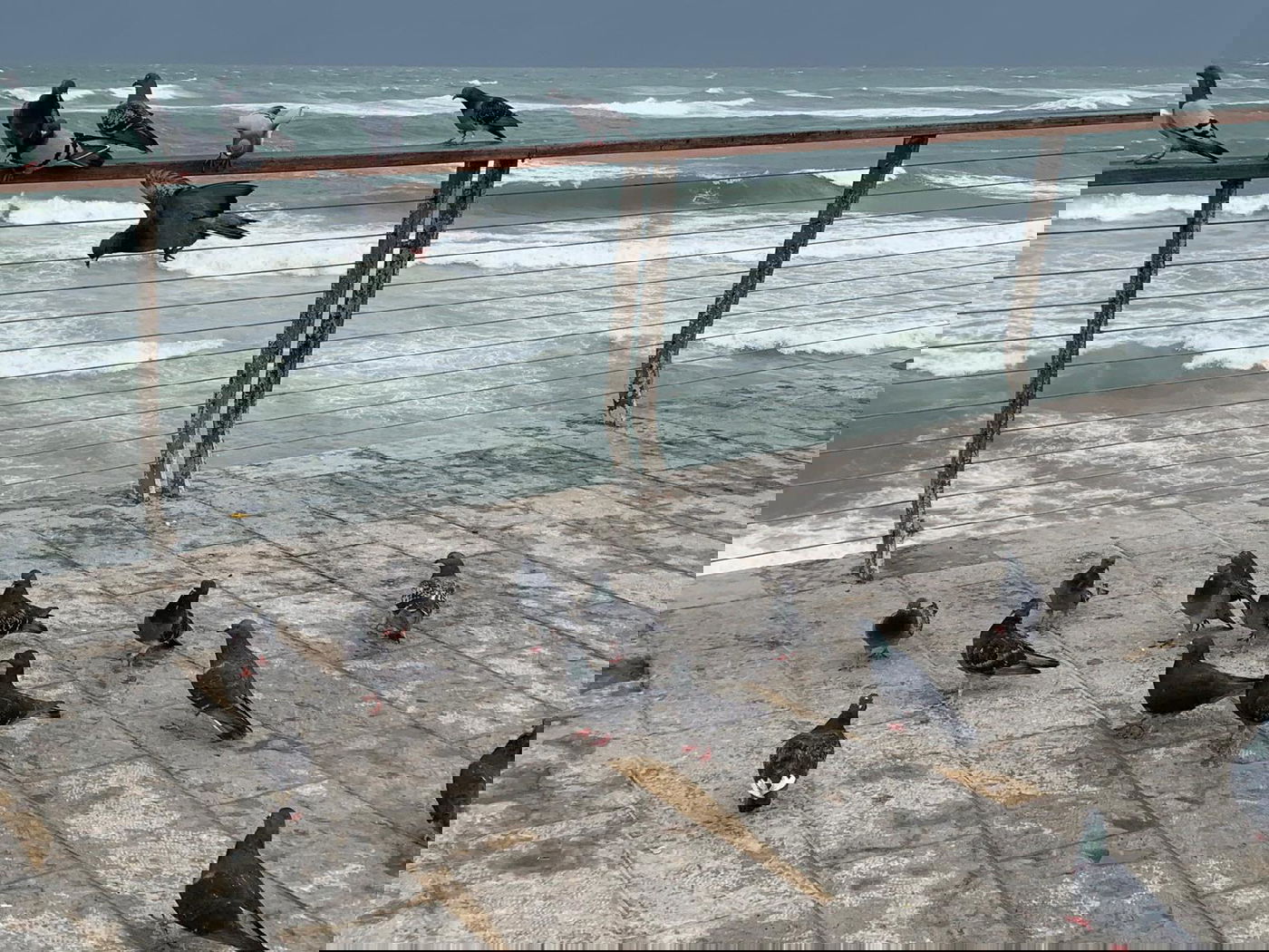 כך נראתה הסערה החורפית בנמל תל אביב