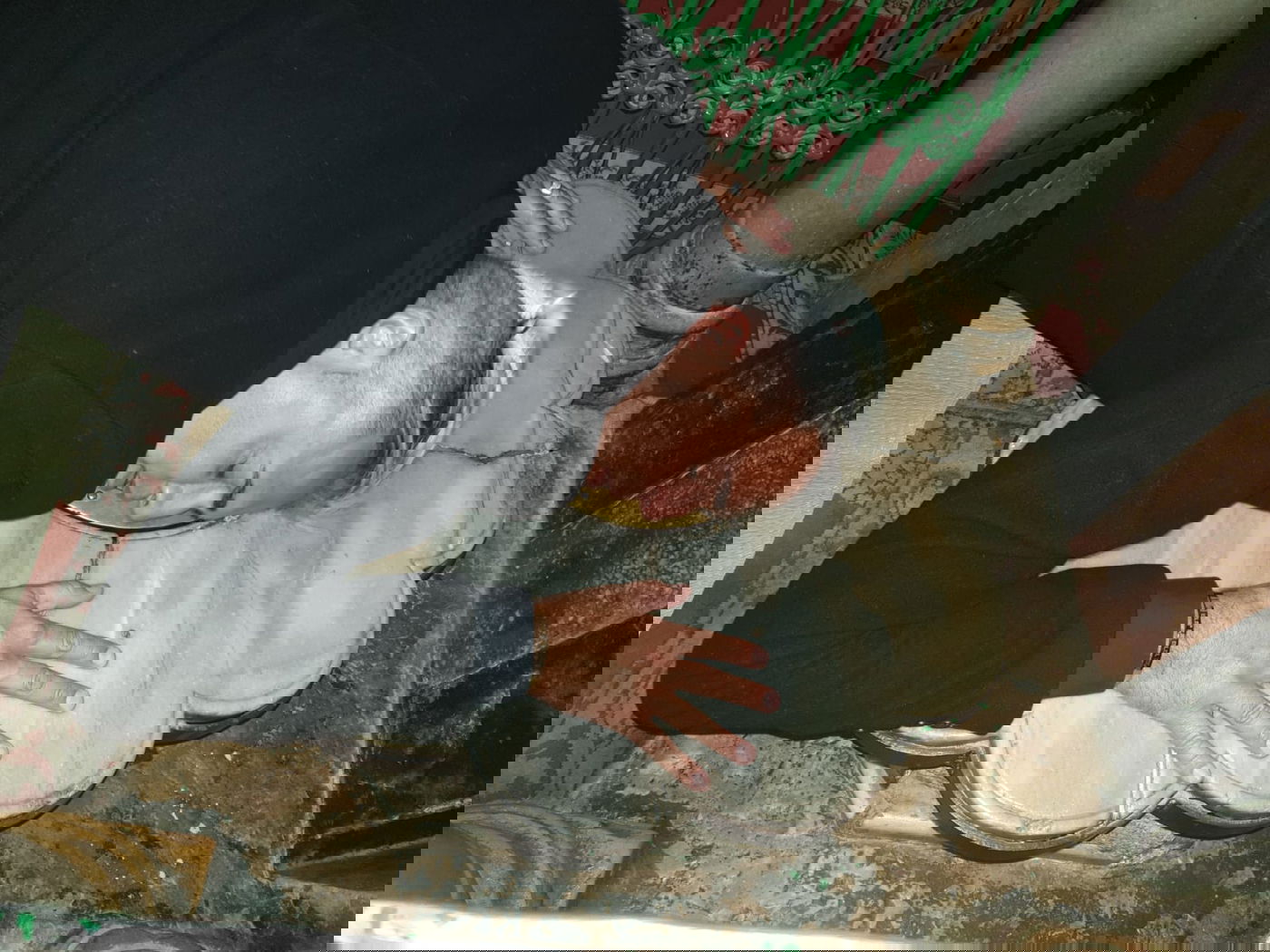 קובי פרץ התפלל על בנימין נתניהו במערת המכפלה • צפו