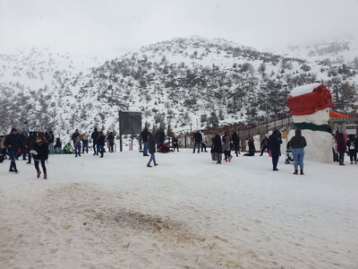 הצפות בערי גוש דן; שלג יורד בחרמון • צפו