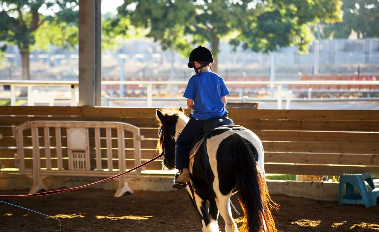 אילוסטרציה